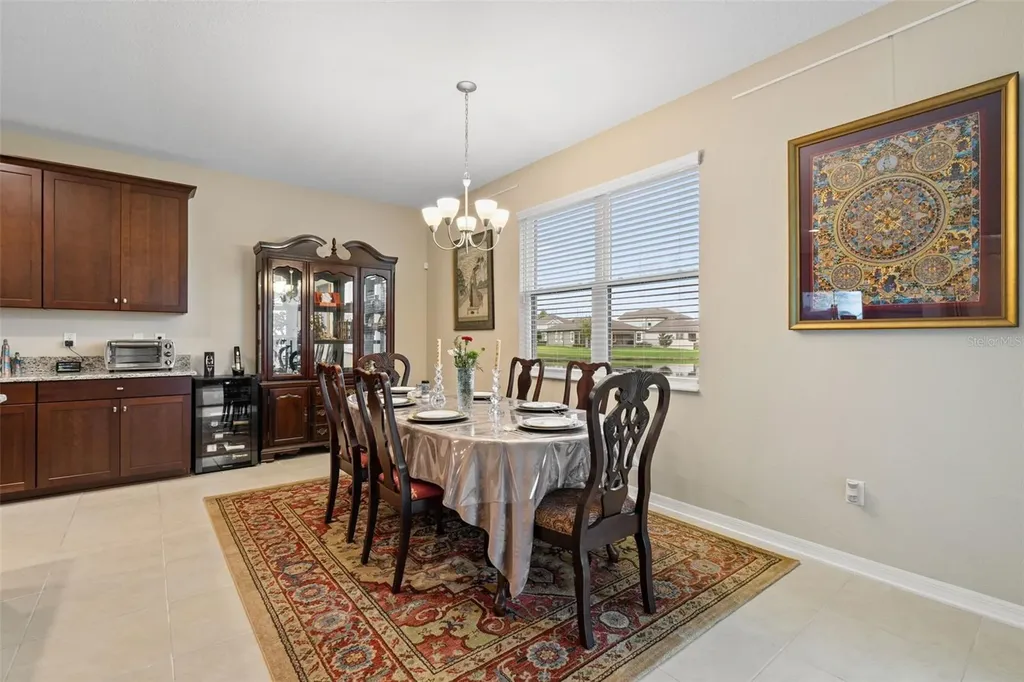 31046 Parrot Reef Court Wesley Chapel FL 33545