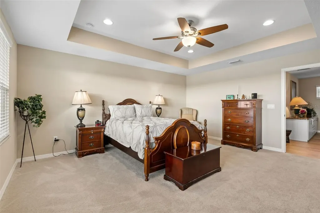 31046 Parrot Reef Court Wesley Chapel FL 33545