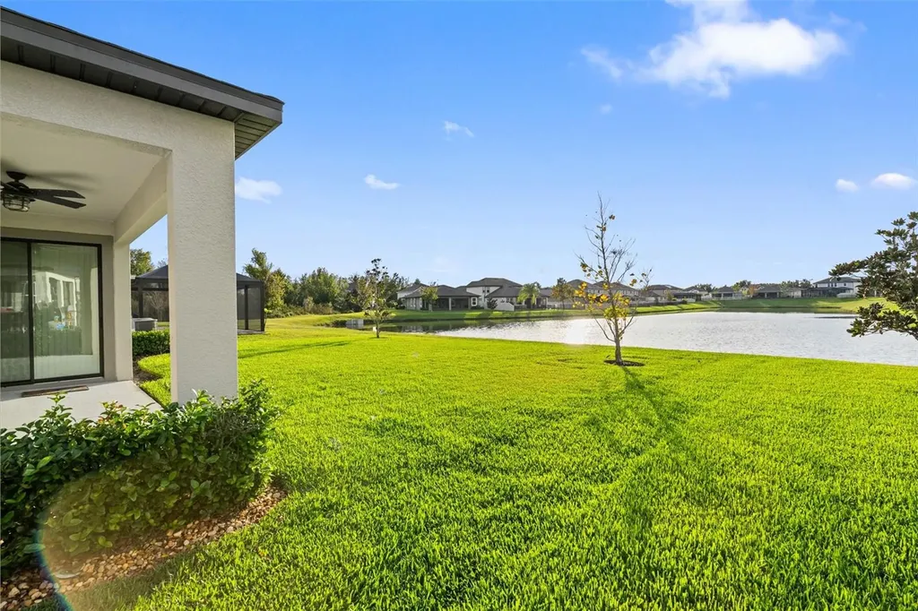 31046 Parrot Reef Court Wesley Chapel FL 33545