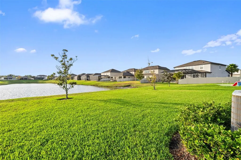 31046 Parrot Reef Court Wesley Chapel FL 33545