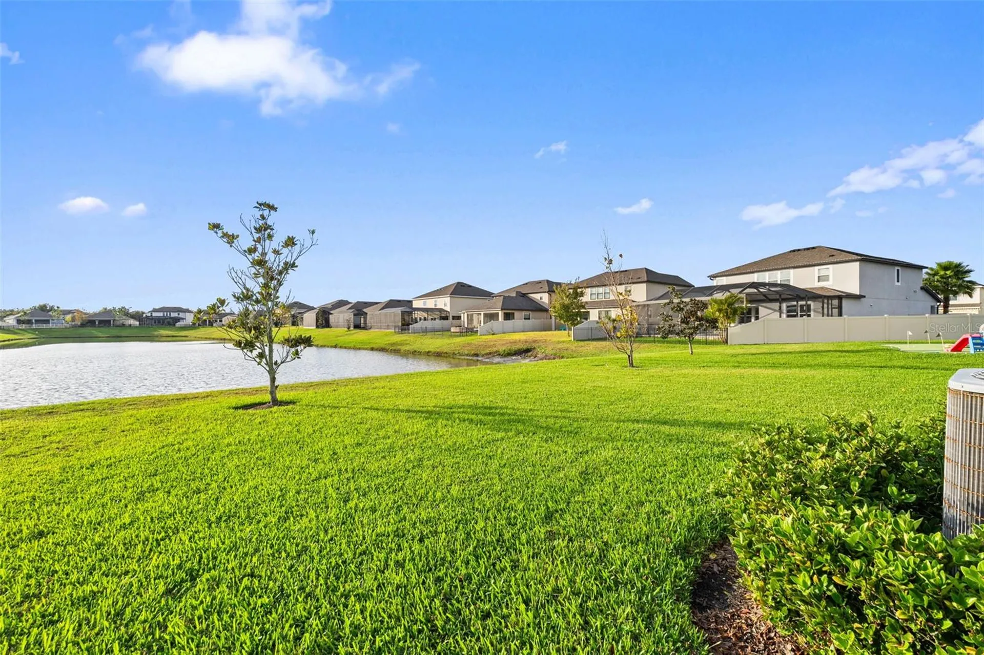 31046 Parrot Reef Court Wesley Chapel FL 33545