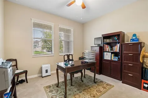 31046 Parrot Reef Court Wesley Chapel FL 33545