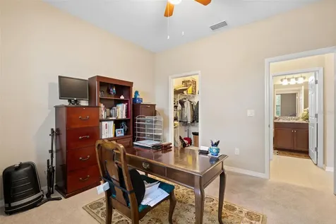 31046 Parrot Reef Court Wesley Chapel FL 33545