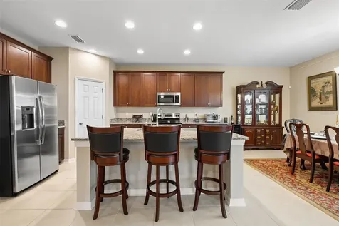 31046 Parrot Reef Court Wesley Chapel FL 33545