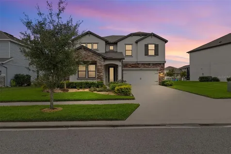 31046 Parrot Reef Court Wesley Chapel FL 33545