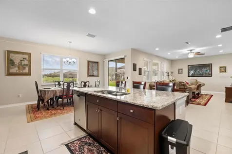 31046 Parrot Reef Court Wesley Chapel FL 33545