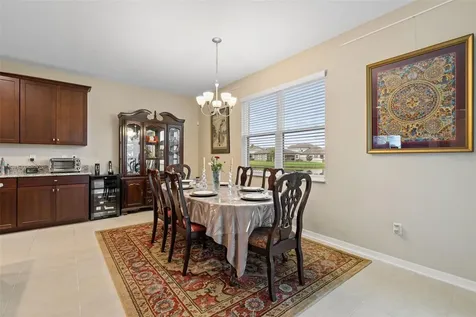 31046 Parrot Reef Court Wesley Chapel FL 33545