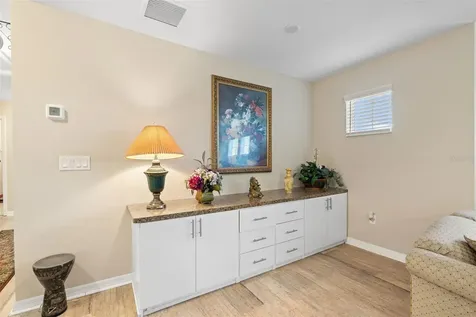 31046 Parrot Reef Court Wesley Chapel FL 33545