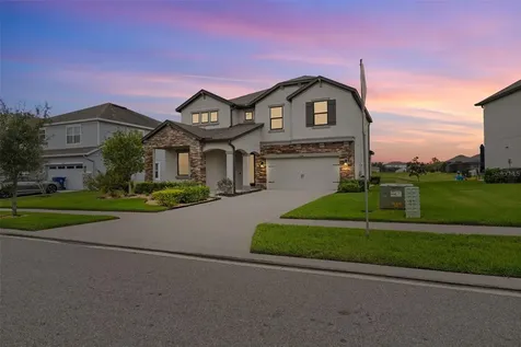 31046 Parrot Reef Court Wesley Chapel FL 33545