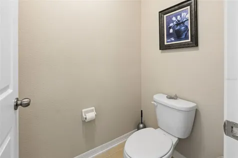 31046 Parrot Reef Court Wesley Chapel FL 33545