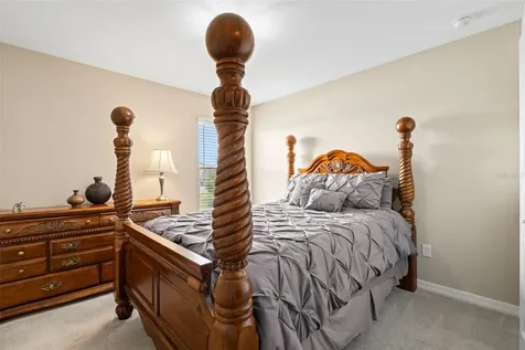 31046 Parrot Reef Court Wesley Chapel FL 33545