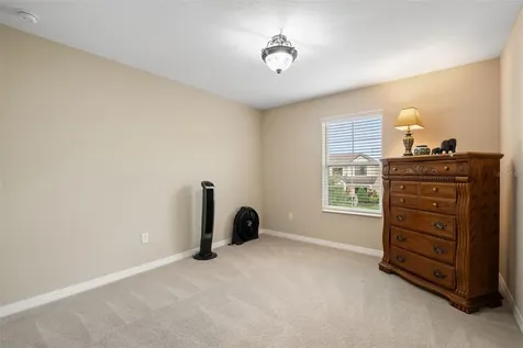 31046 Parrot Reef Court Wesley Chapel FL 33545