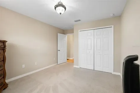 31046 Parrot Reef Court Wesley Chapel FL 33545