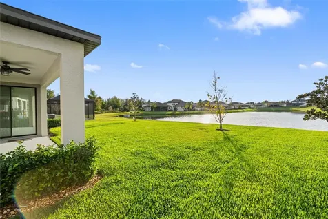 31046 Parrot Reef Court Wesley Chapel FL 33545