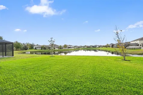 31046 Parrot Reef Court Wesley Chapel FL 33545