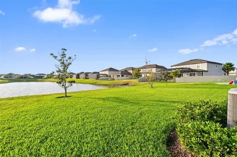 31046 Parrot Reef Court Wesley Chapel FL 33545