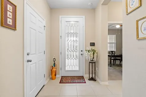 31046 Parrot Reef Court Wesley Chapel FL 33545