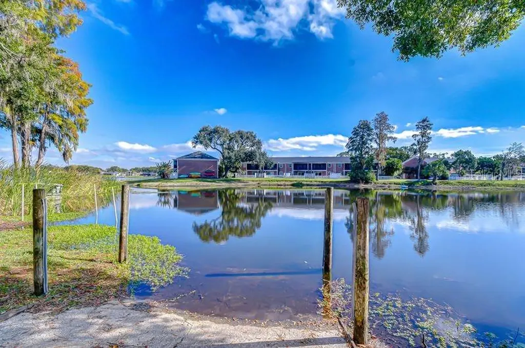 13693 Orange Sunset Drive Tampa FL 33618