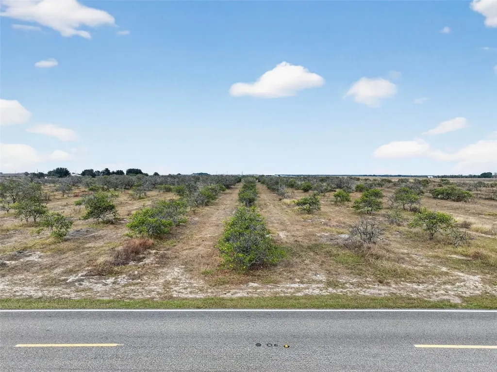 Alturas Babson Park Cutoff Bartow FL 33830