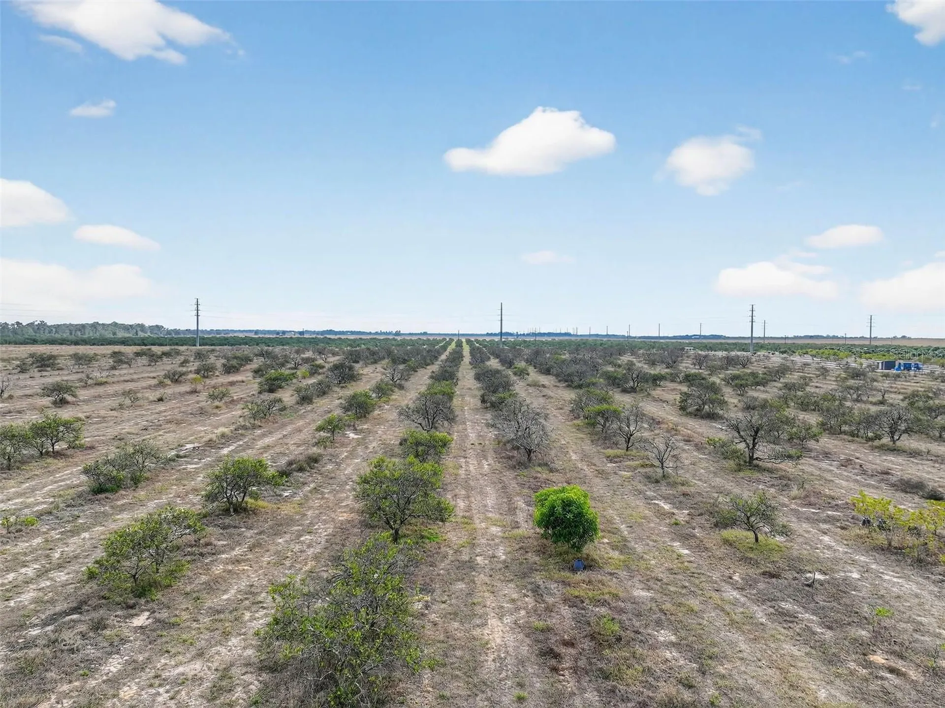 Alturas Babson Park Cutoff Bartow FL 33830