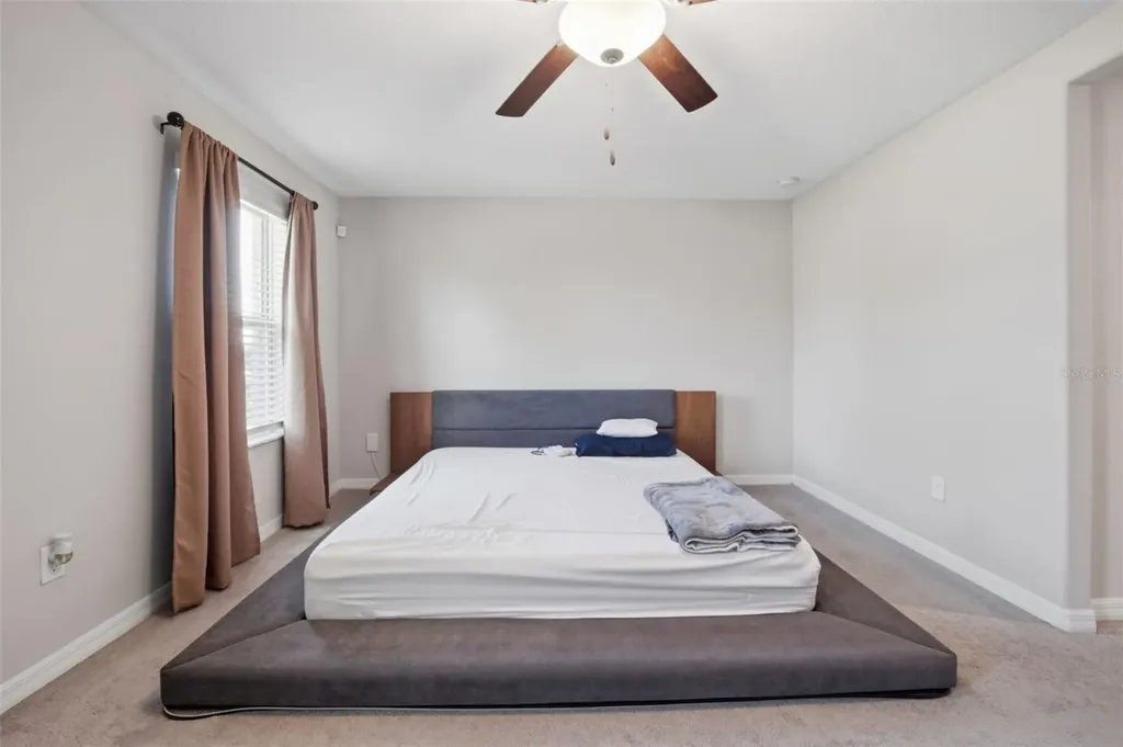 4459 Globe Thistle Drive Tampa FL 33619