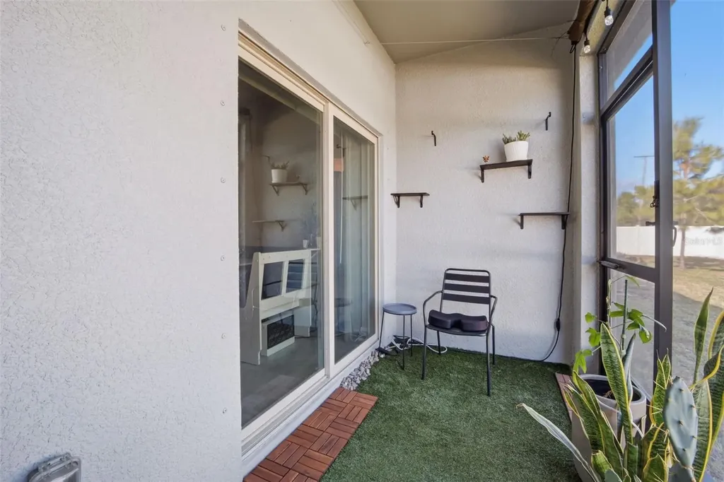 4459 Globe Thistle Drive Tampa FL 33619