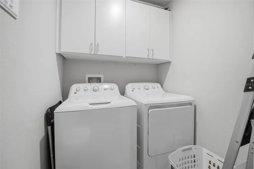 4459 Globe Thistle Drive Tampa FL 33619