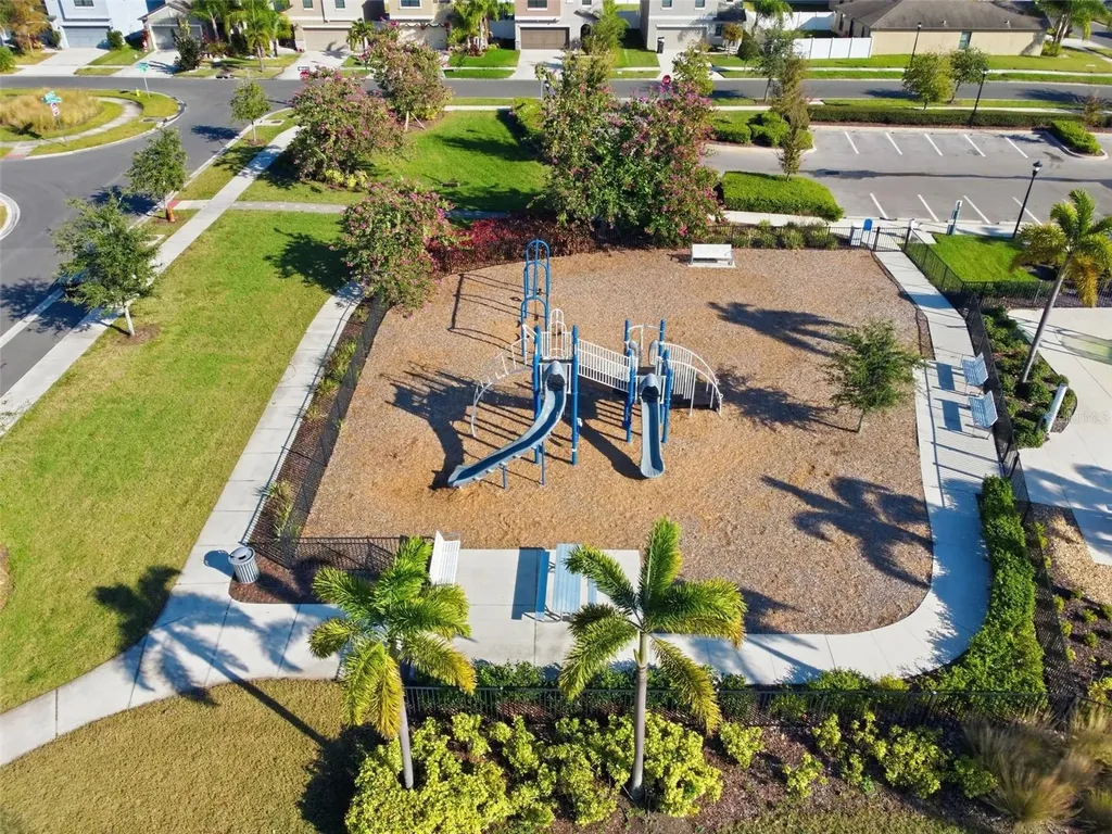 4459 Globe Thistle Drive Tampa FL 33619