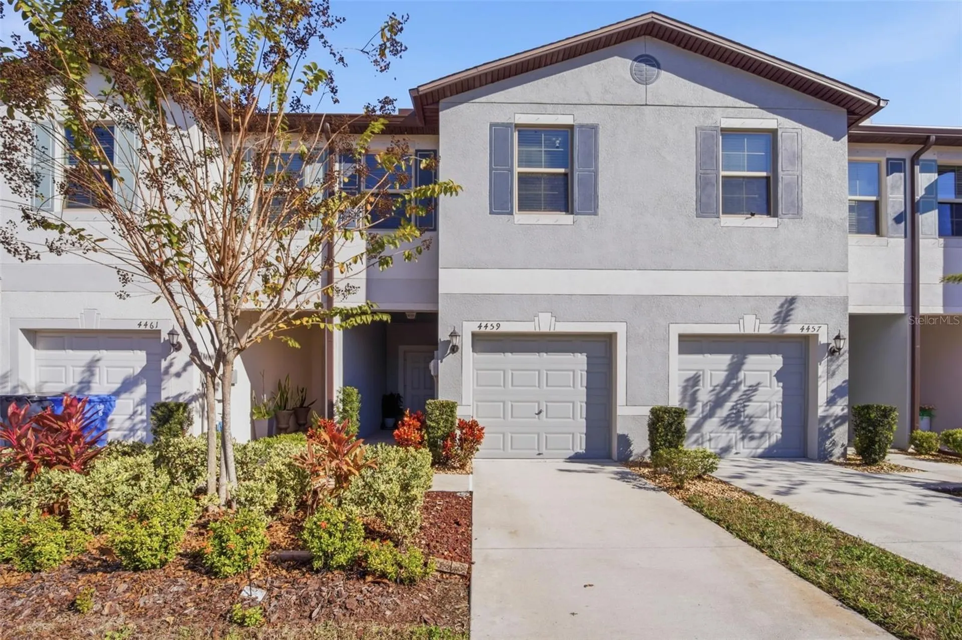 4459 Globe Thistle Drive Tampa FL 33619