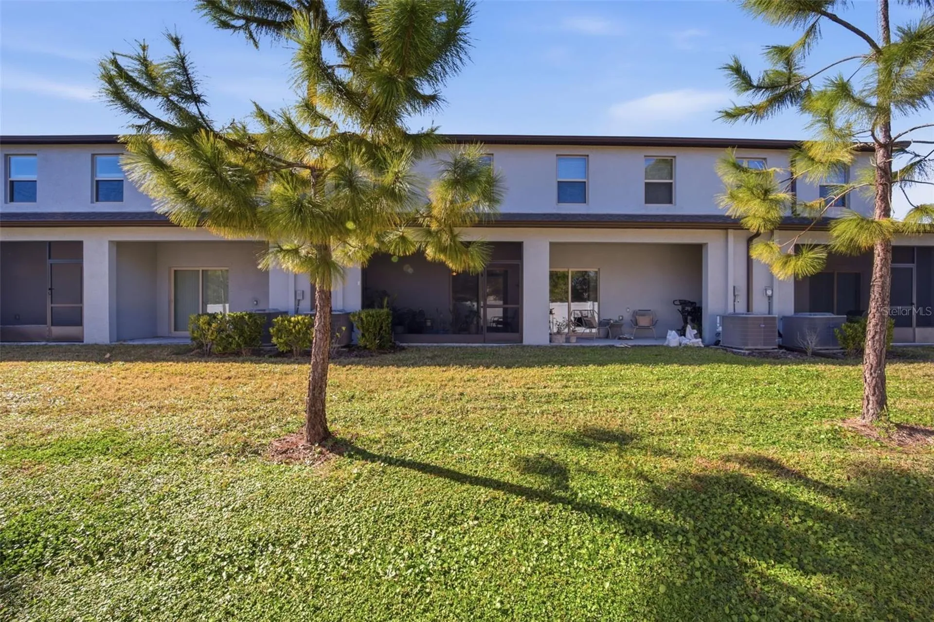 4459 Globe Thistle Drive Tampa FL 33619