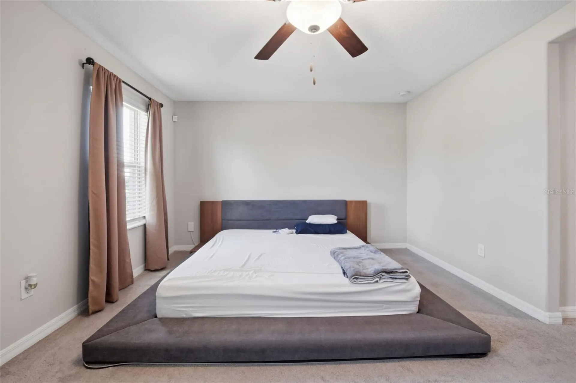 4459 Globe Thistle Drive Tampa FL 33619