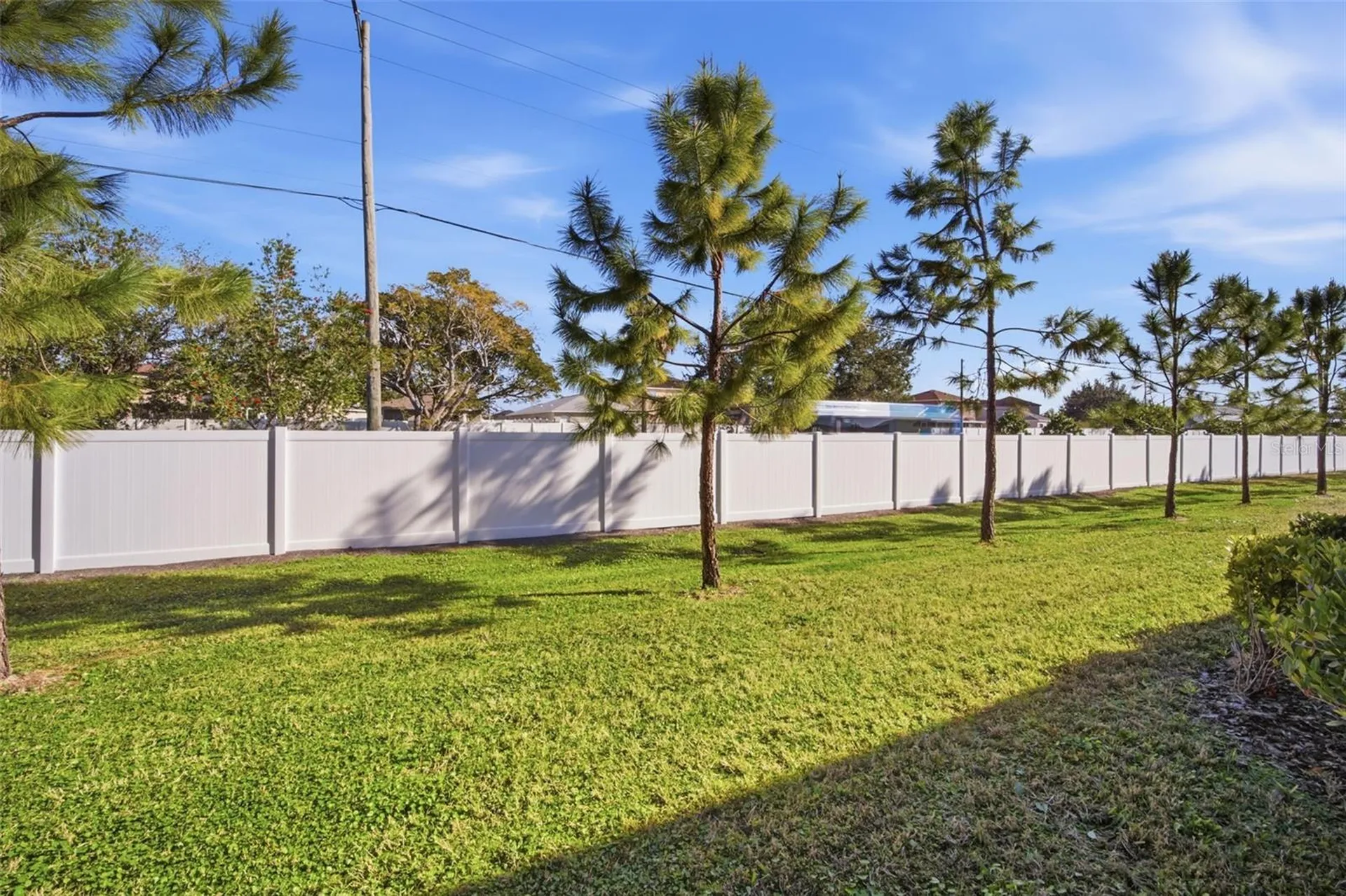 4459 Globe Thistle Drive Tampa FL 33619