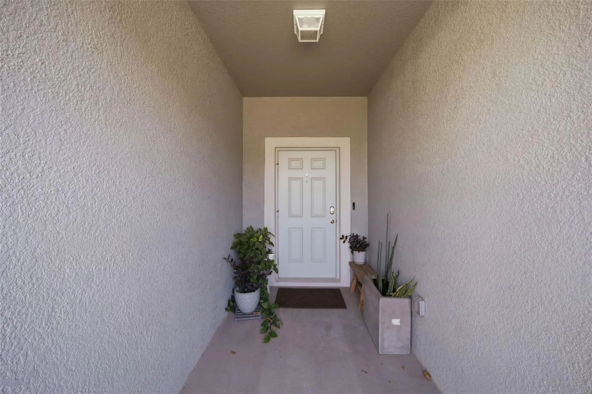 4459 Globe Thistle Drive Tampa FL 33619