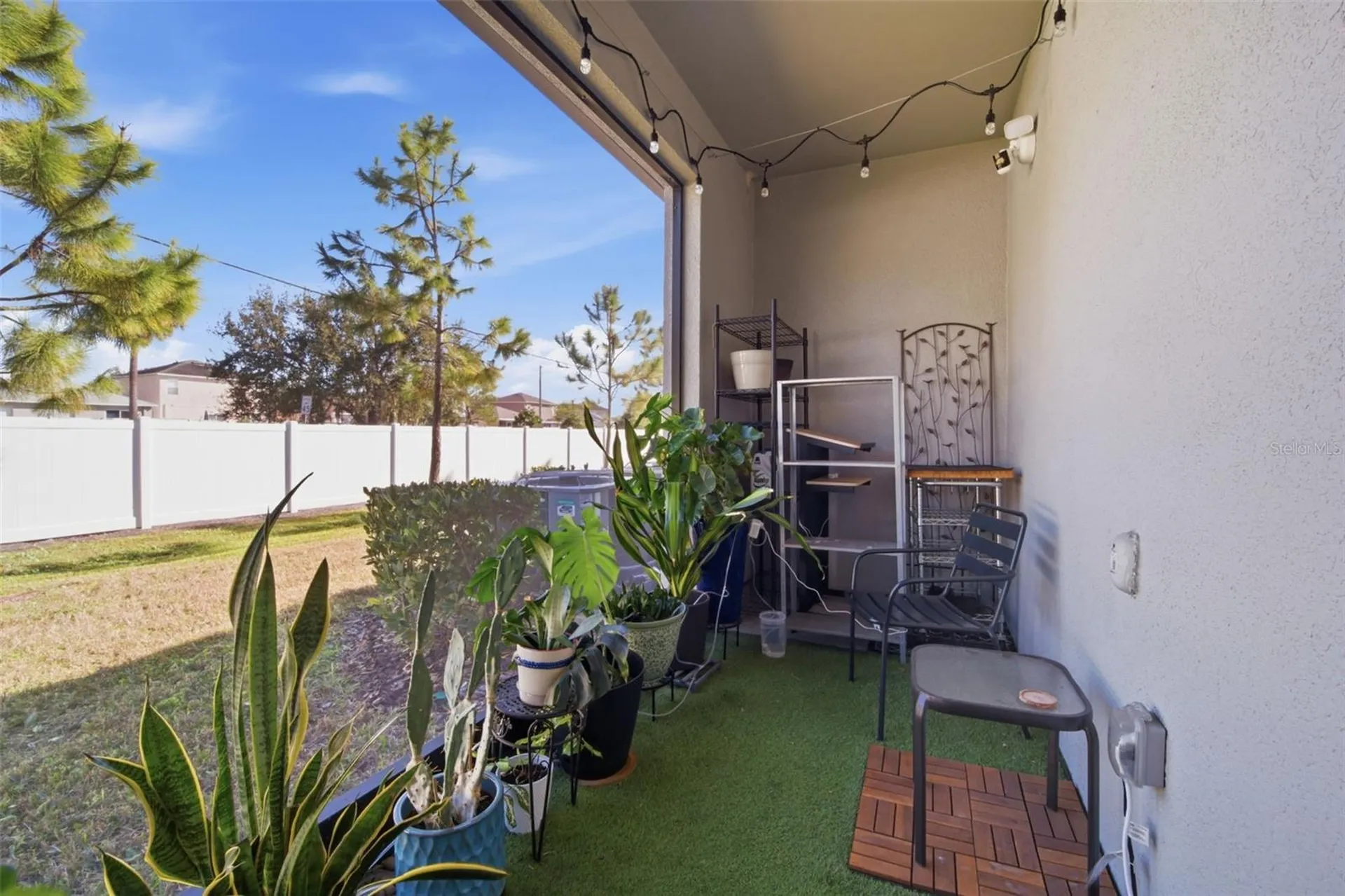 4459 Globe Thistle Drive Tampa FL 33619