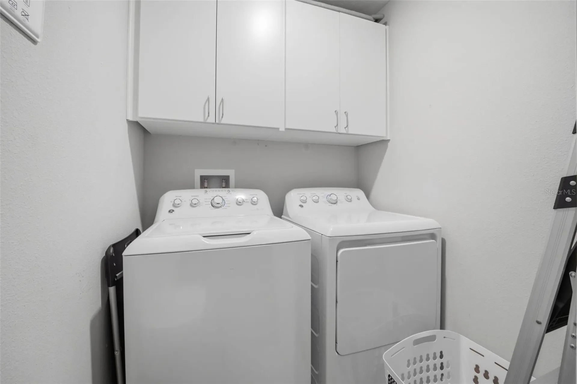 4459 Globe Thistle Drive Tampa FL 33619