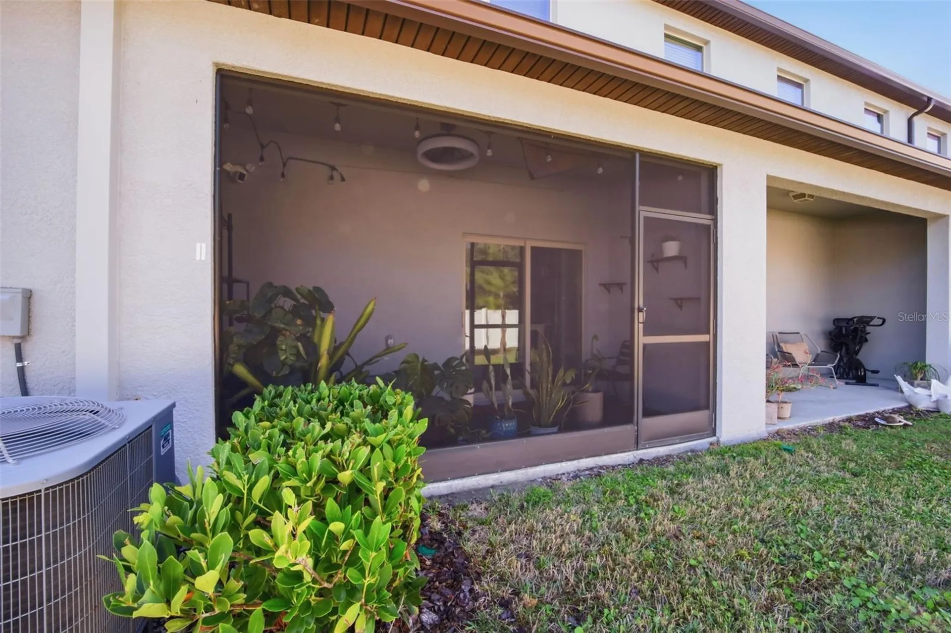 4459 Globe Thistle Drive Tampa FL 33619