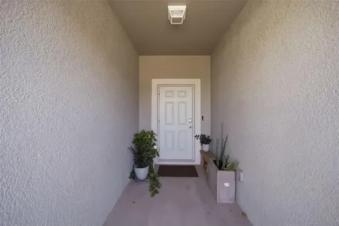 4459 Globe Thistle Drive Tampa FL 33619