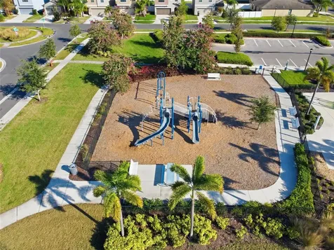 4459 Globe Thistle Drive Tampa FL 33619