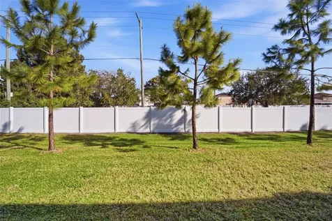 4459 Globe Thistle Drive Tampa FL 33619