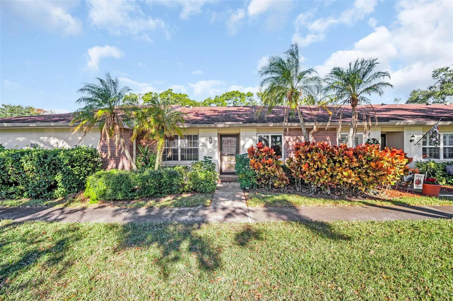 899 Cleland Court Palm Harbor FL 34684