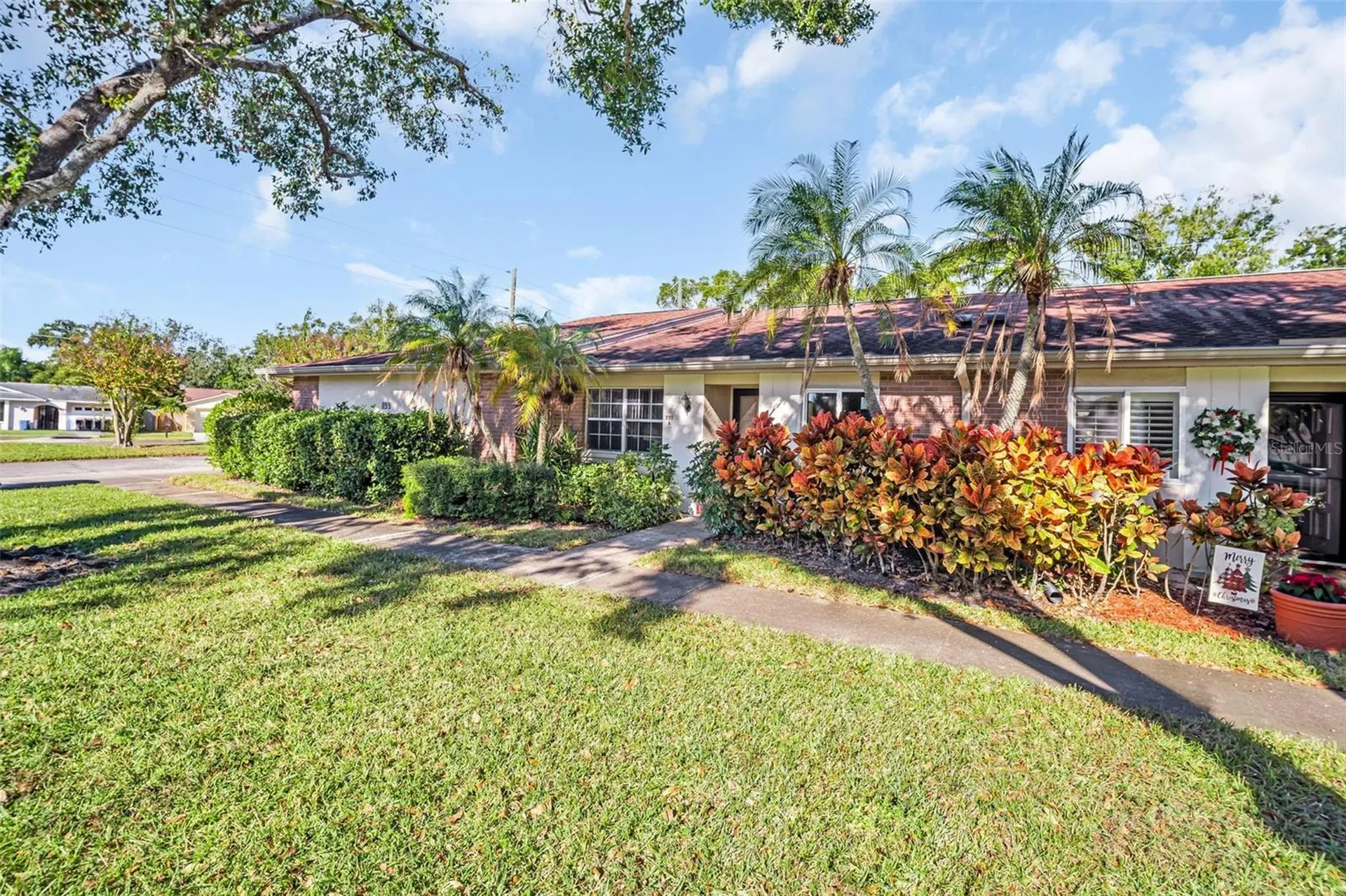 899 Cleland Court Palm Harbor FL 34684