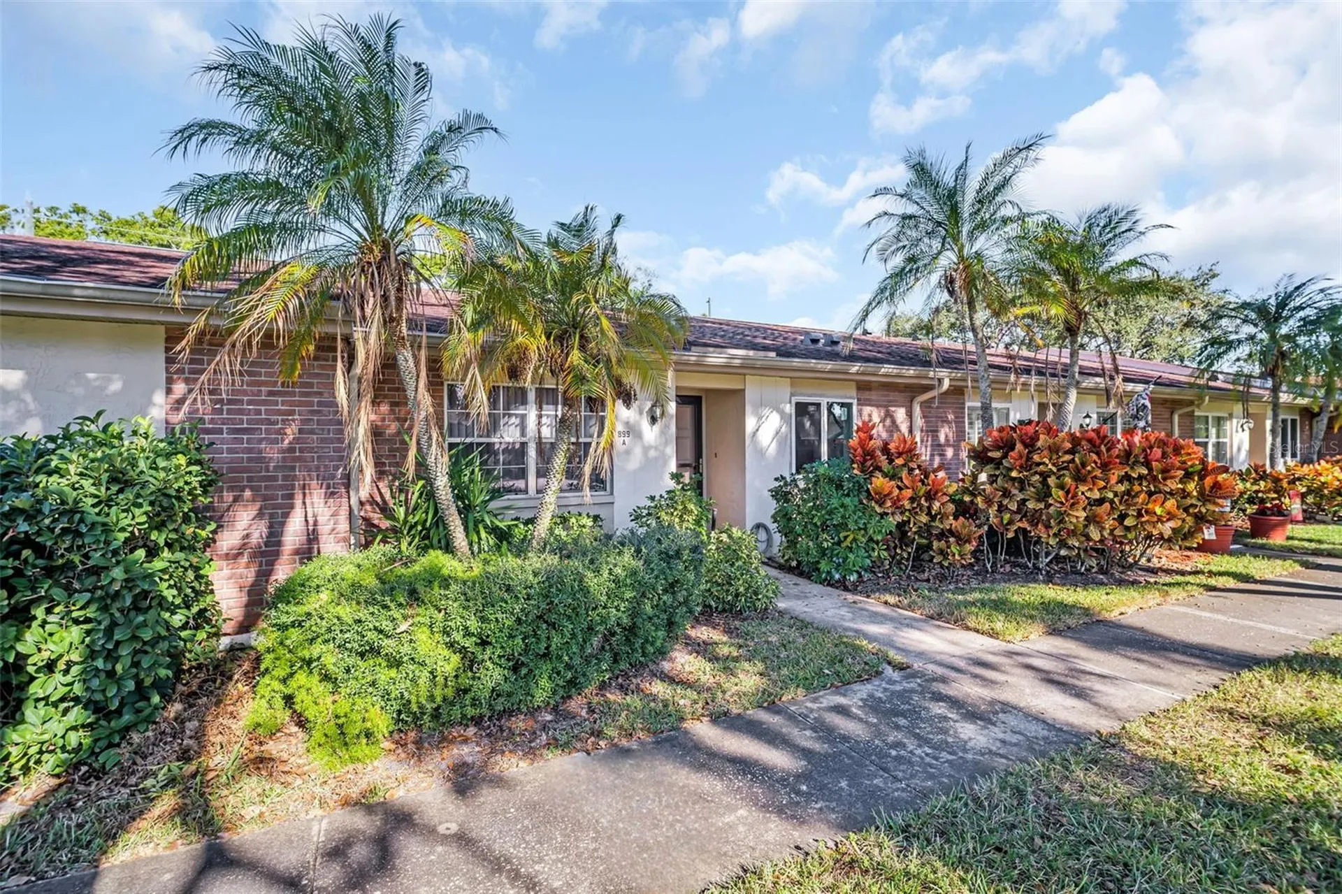 899 Cleland Court Palm Harbor FL 34684