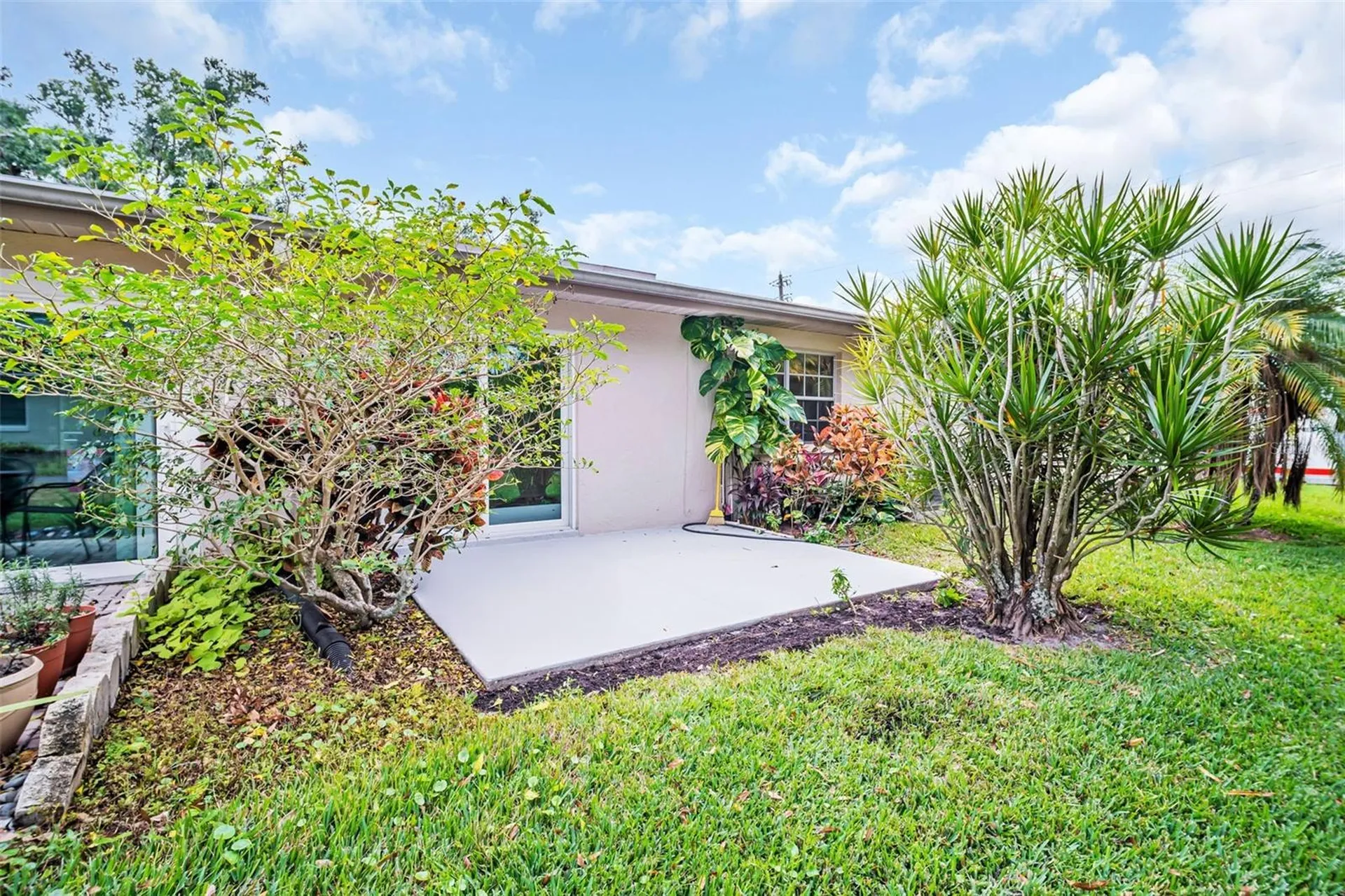 899 Cleland Court Palm Harbor FL 34684
