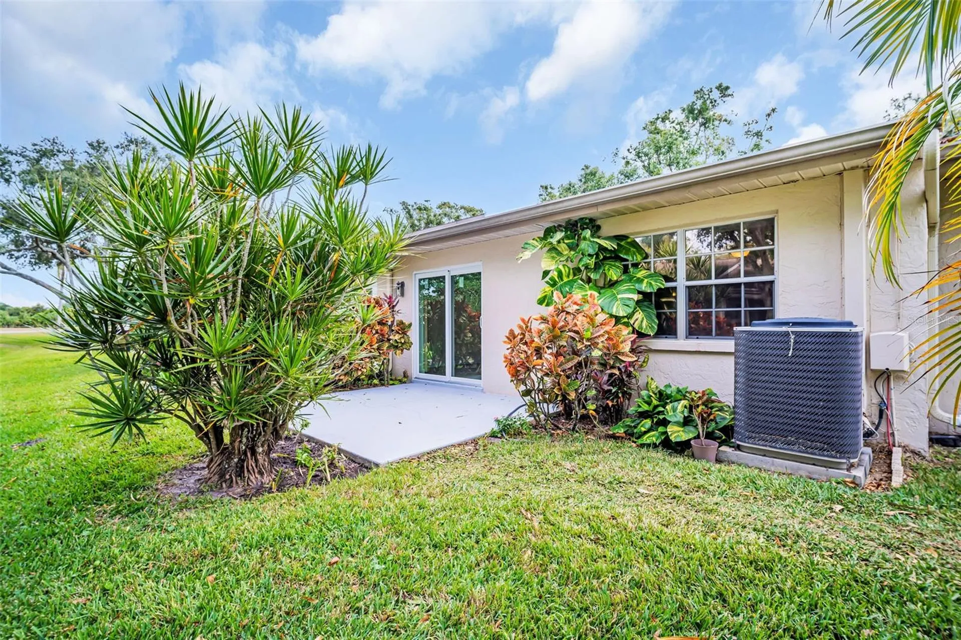 899 Cleland Court Palm Harbor FL 34684