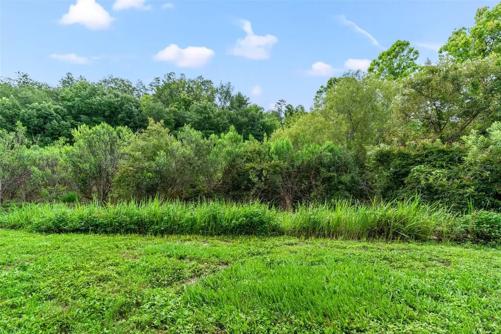 2052 Park Crescent Drive Land O Lakes FL 34639