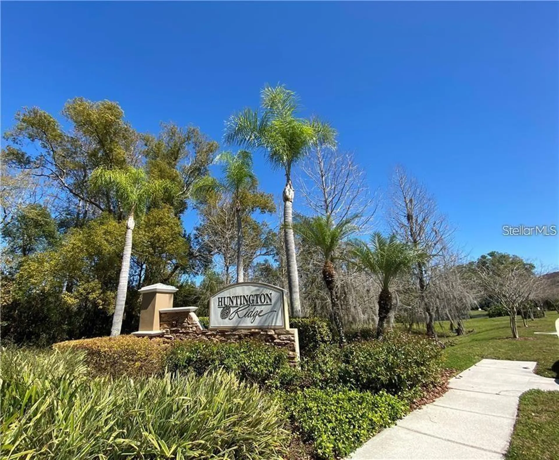 2052 Park Crescent Drive Land O Lakes FL 34639