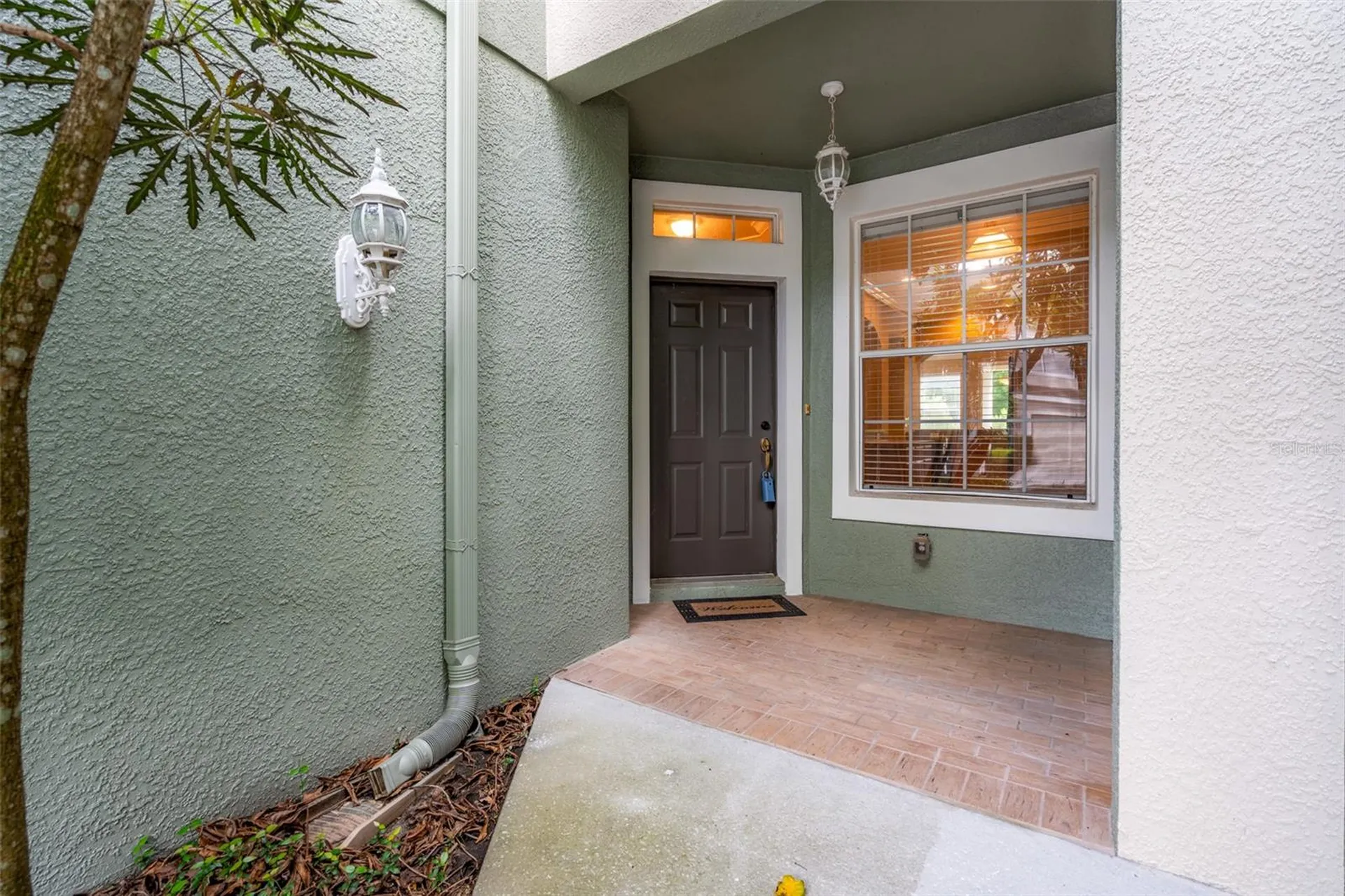 2052 Park Crescent Drive Land O Lakes FL 34639