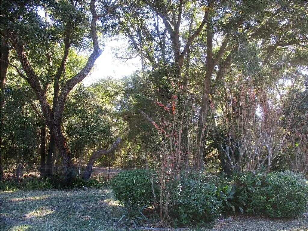 14652 SW 112th Circle Dunnellon FL 34432