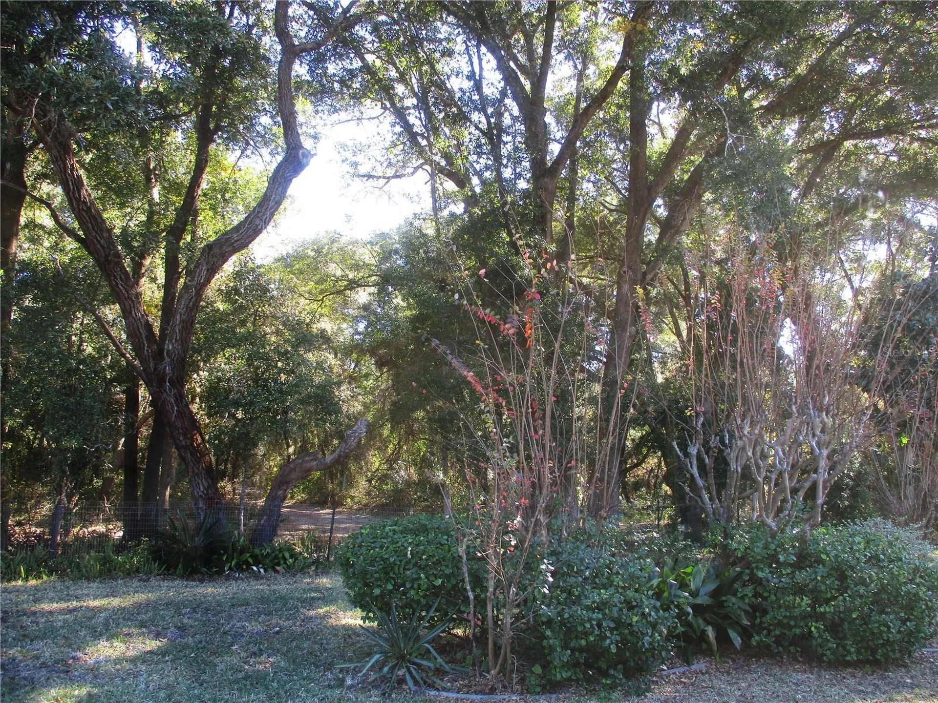 14652 SW 112th Circle Dunnellon FL 34432