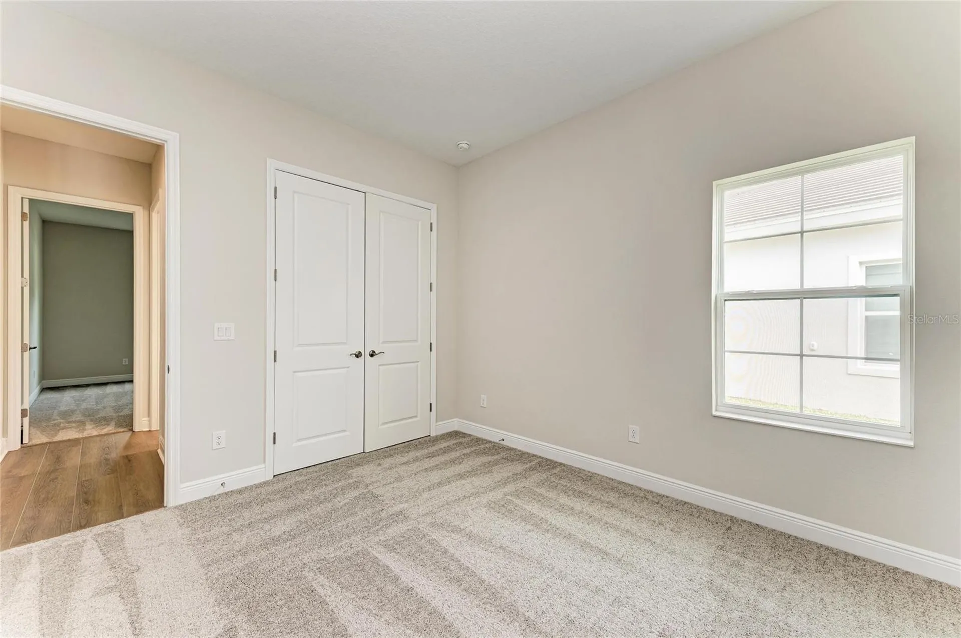 35244 Big Hawk Drive Zephyrhills FL 33541